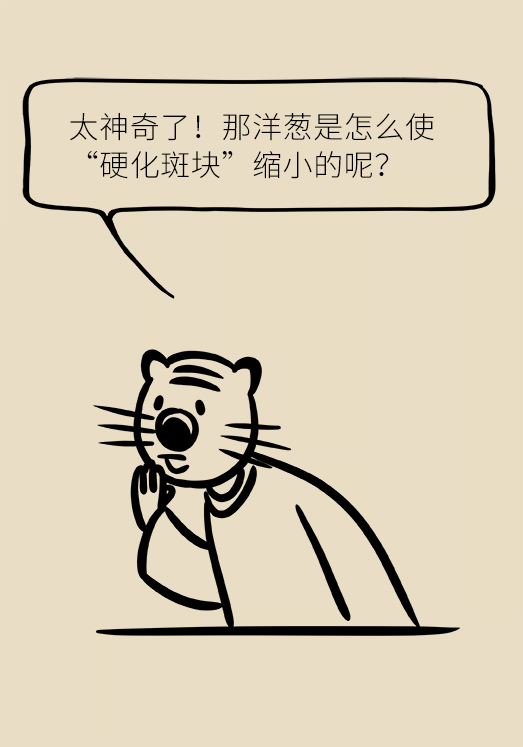 洋蔥可以預(yù)防動(dòng)脈硬化，是真的嗎？