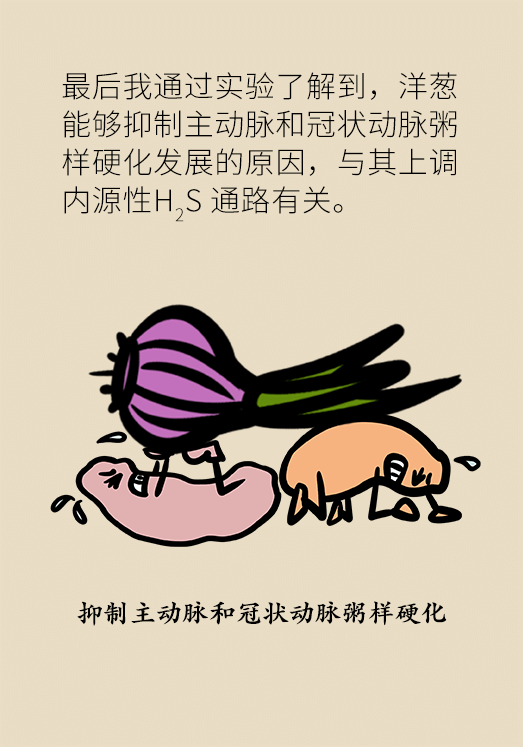 洋蔥可以預(yù)防動(dòng)脈硬化，是真的嗎？