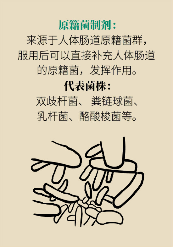 益生菌真能提高免疫力嗎？專家提醒注意這8點(diǎn)