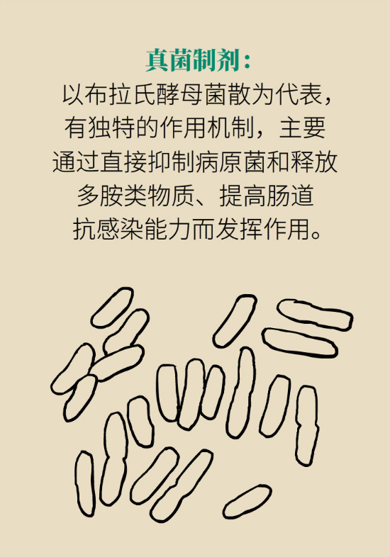 益生菌真能提高免疫力嗎？專家提醒注意這8點(diǎn)