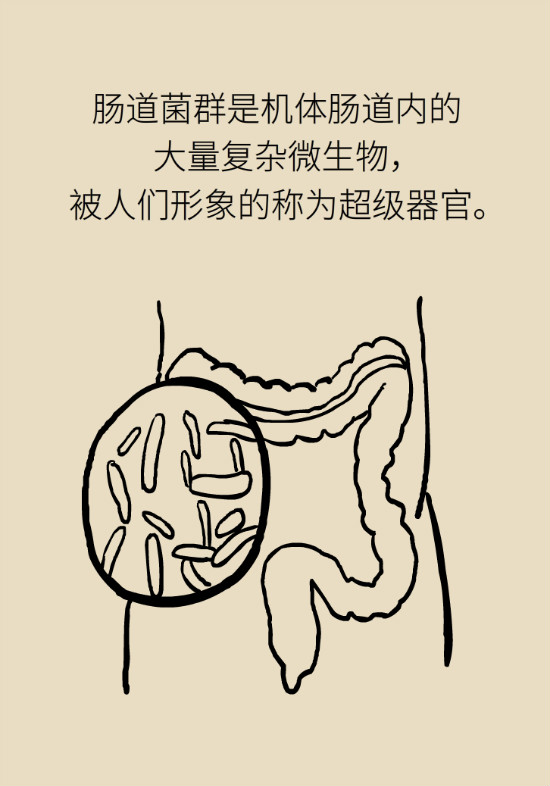 益生菌真能提高免疫力嗎？專家提醒注意這8點(diǎn)
