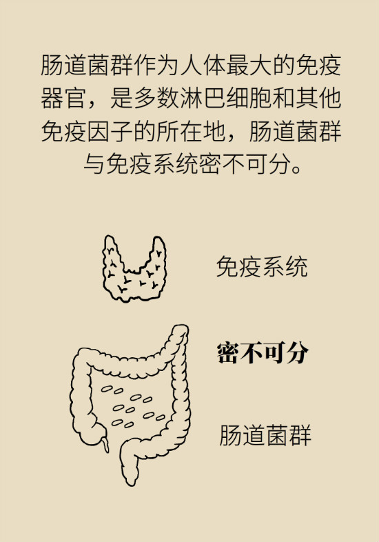 益生菌真能提高免疫力嗎？專家提醒注意這8點(diǎn)