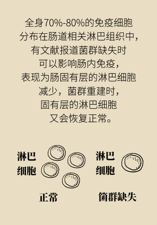 益生菌真能提高免疫力嗎？專家提醒注意這8點(diǎn)