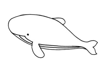 鯨魚(yú)簡(jiǎn)筆畫(huà)圖片