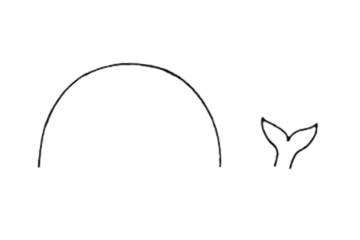 鯨魚(yú)簡(jiǎn)筆畫(huà)圖片