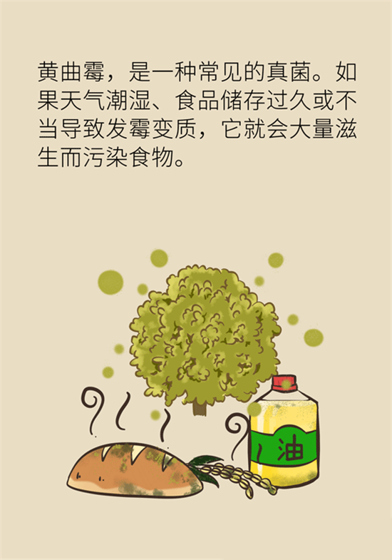 大米食油里也有致癌毒素，專家教你如何避開(kāi)它