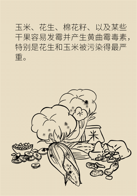大米食油里也有致癌毒素，專家教你如何避開(kāi)它
