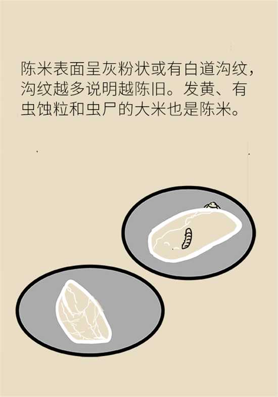 大米食油里也有致癌毒素，專家教你如何避開(kāi)它