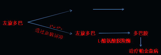 同樣的藥，為什么對他有效卻對你沒效果，可能得問腸道菌群