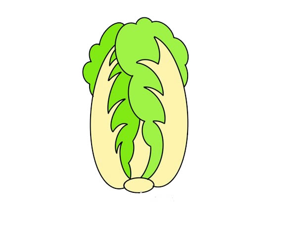 大白菜怎么畫(huà)簡(jiǎn)單漂亮 大白菜簡(jiǎn)筆畫(huà)步驟圖解教程