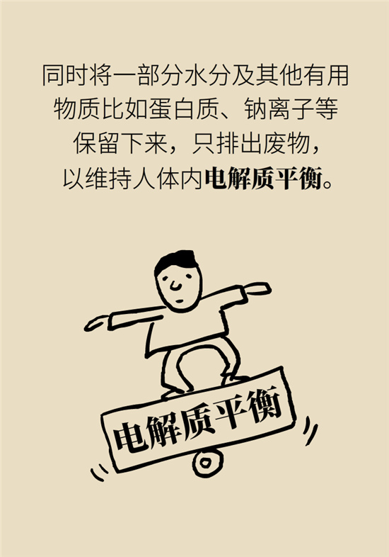 經(jīng)常憋尿會得急性腎炎？
