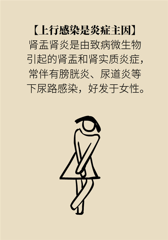 經(jīng)常憋尿會得急性腎炎？