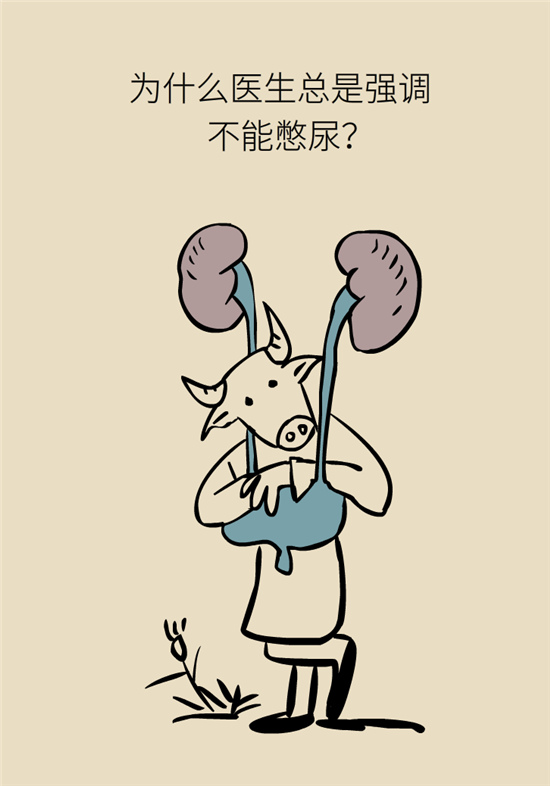 經(jīng)常憋尿會得急性腎炎？