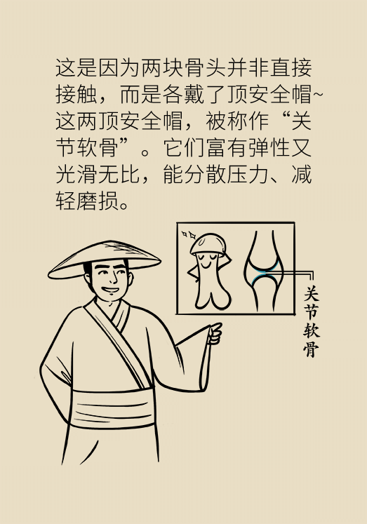 人老關(guān)節(jié)也會(huì)老嗎？