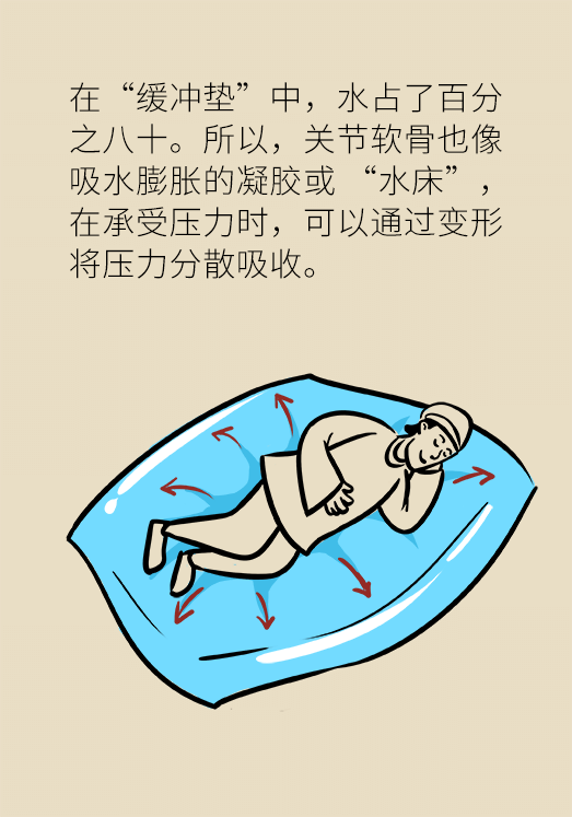 人老關(guān)節(jié)也會(huì)老嗎？