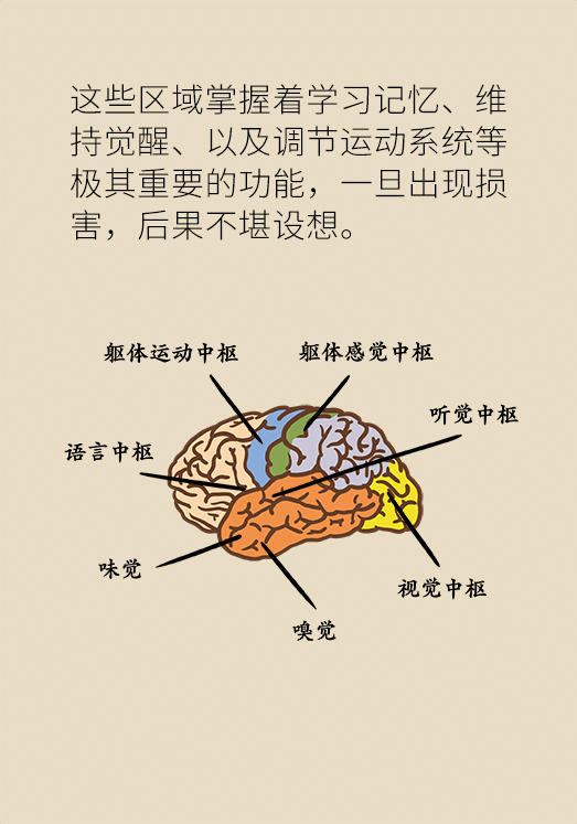 突然臥床癱瘓？請(qǐng)警惕低血糖的危險(xiǎn)信號(hào)