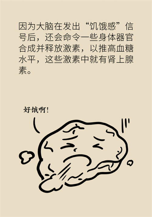 節(jié)食減肥會(huì)餓得脾氣暴躁？