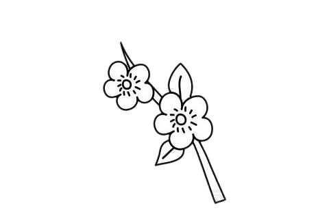 梅花簡(jiǎn)筆畫圖片