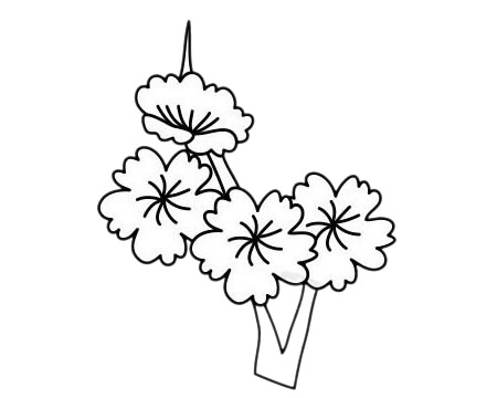 梅花簡(jiǎn)筆畫圖片