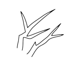 梅花簡(jiǎn)筆畫圖片