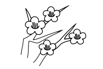 梅花簡(jiǎn)筆畫怎么畫步驟圖解