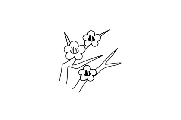 梅花簡(jiǎn)筆畫圖片