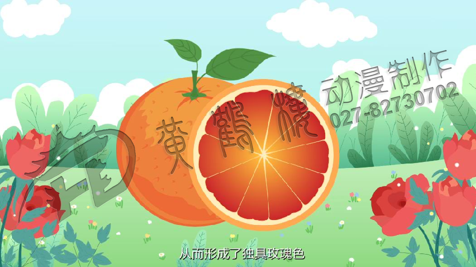 三峽血橙原畫分鏡頭設(shè)計(jì)0009.png
