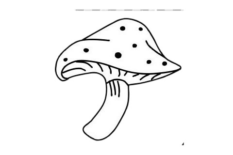 蘑菇 蘑菇簡筆畫圖片