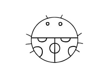 七星瓢蟲 七星瓢蟲簡筆畫圖片