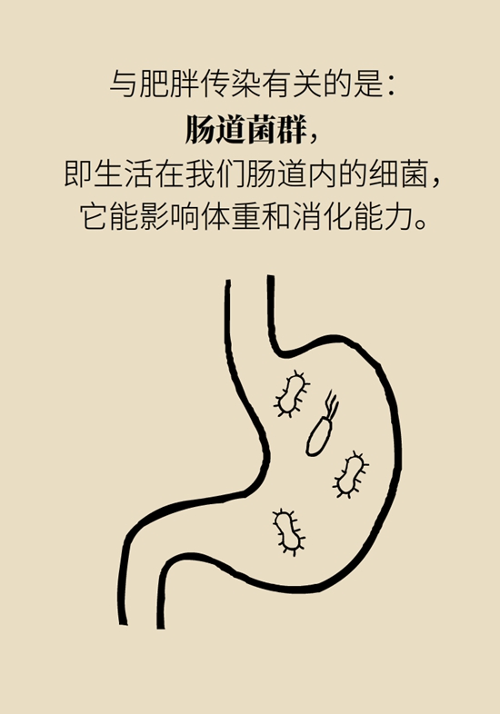 減肥科普動漫制作 減肥科普動漫制作