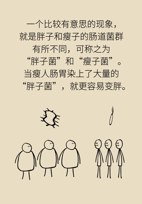 減肥科普動漫制作 減肥科普動漫制作