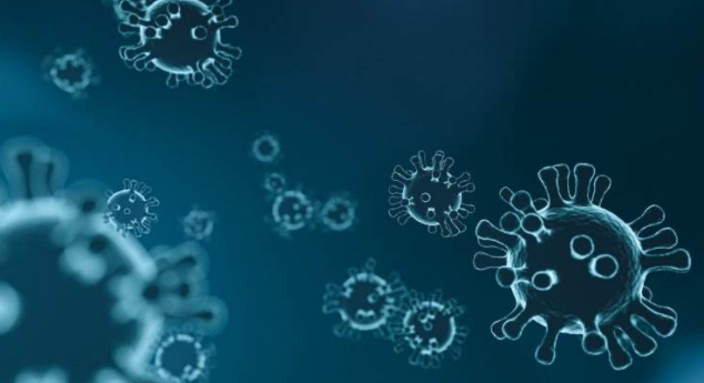 新冠病毒 澳科學(xué)家:新冠病毒可在手機(jī)屏上存活一個(gè)月