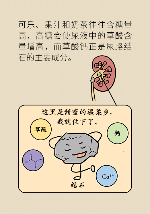 結(jié)石科普動漫制作 結(jié)石科普動漫制作