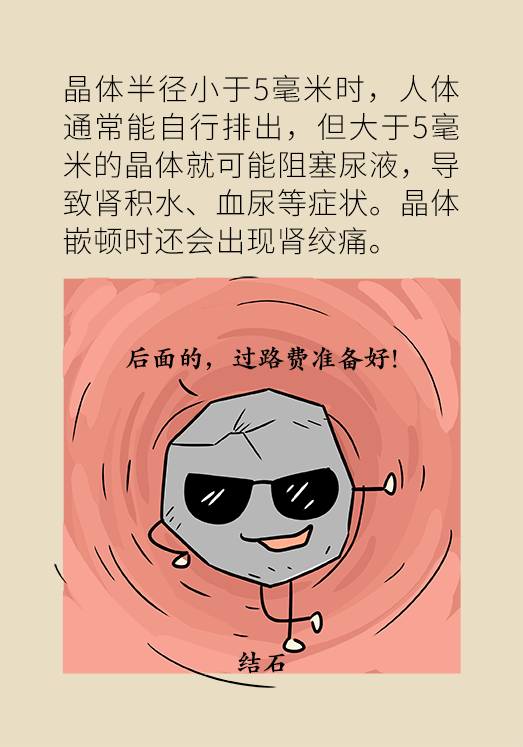 結(jié)石科普動漫制作 結(jié)石科普動漫制作
