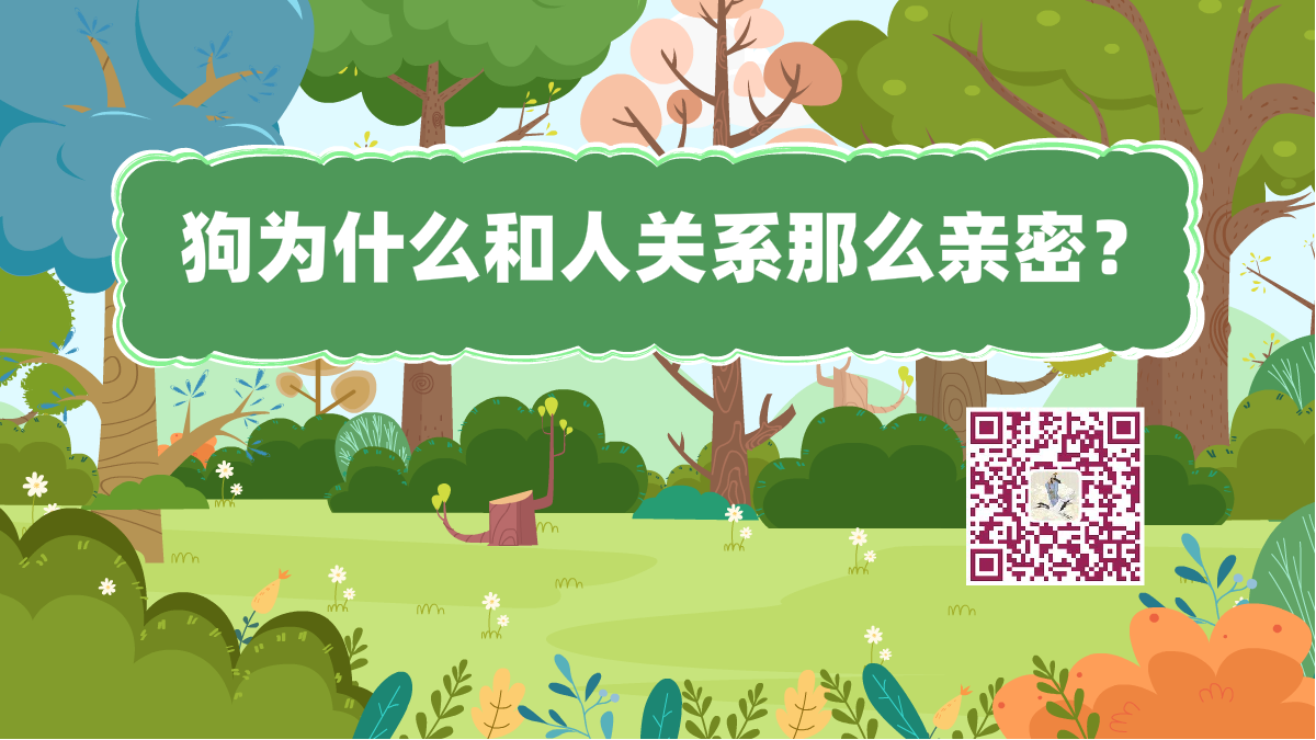 十萬個(gè)為什么標(biāo)題(人狗親密)1200.png 十萬個(gè)為什么標(biāo)題(人狗親密)1200.png