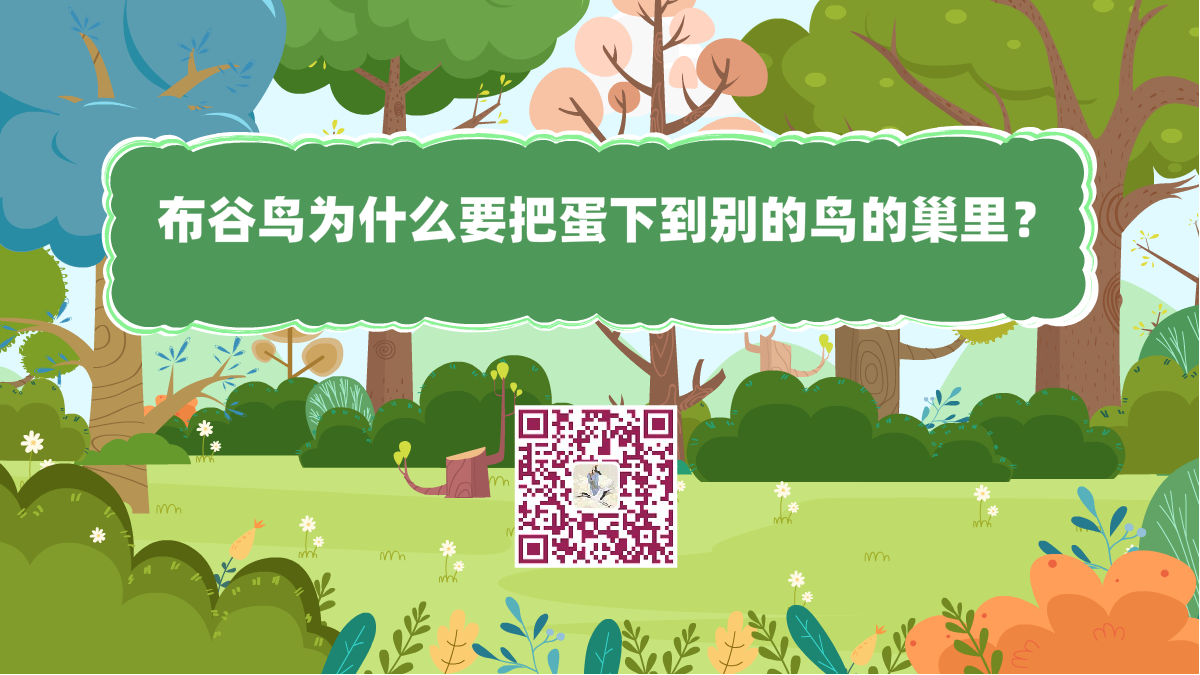 十萬(wàn)個(gè)為什么標(biāo)題(杜鵑為什么要把蛋下到別的鳥(niǎo)的巢里)1200.png 十萬(wàn)個(gè)為什么標(biāo)題(杜鵑為什么要把蛋下到別的鳥(niǎo)的巢里)1200.png