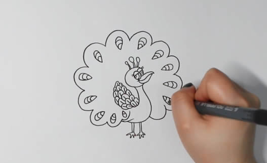 孔雀開屏 孔雀開屏簡筆畫怎么畫簡單漂亮