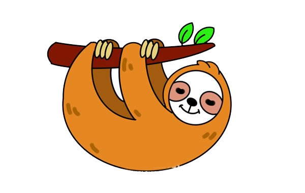 樹(shù)懶怎么畫(huà)？