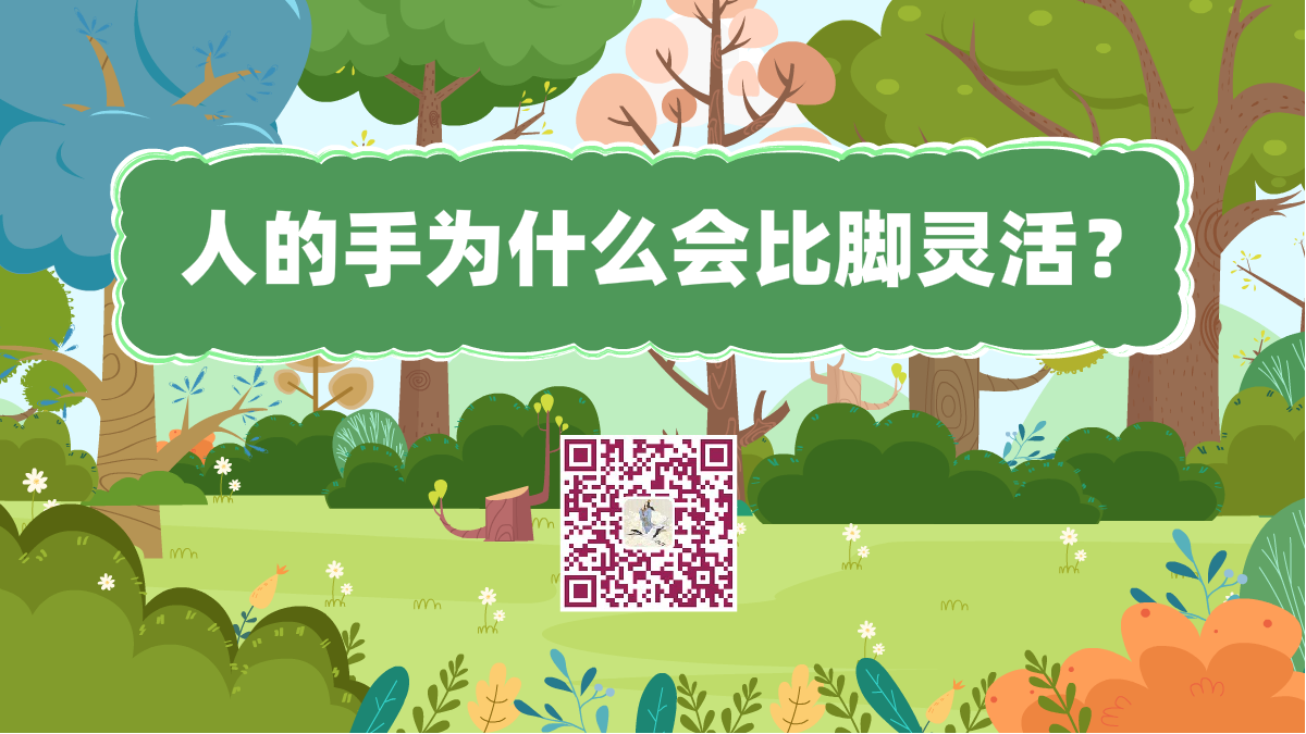十萬個為什么標題(為什么手會比腳靈活)1200.png 十萬個為什么標題(為什么手會比腳靈活)1200.png