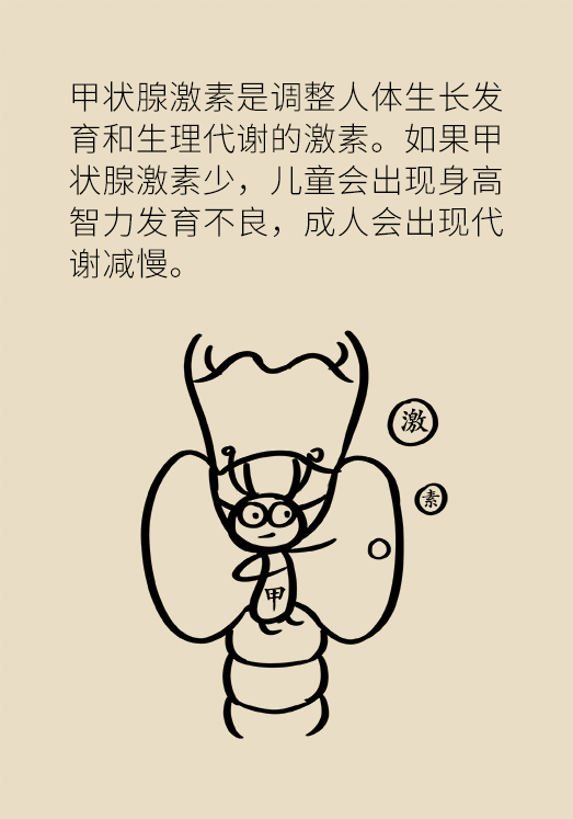 甲狀腺有問題？女性為何容易中招甲減