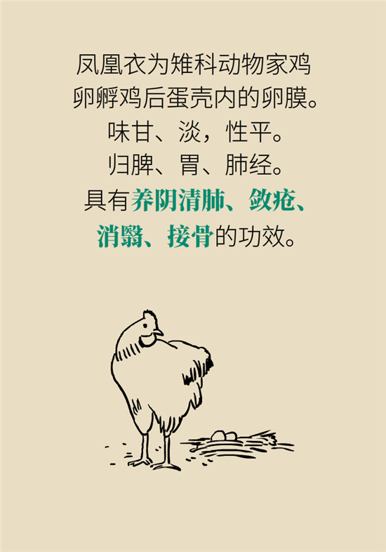 雞蛋科普動(dòng)漫制作