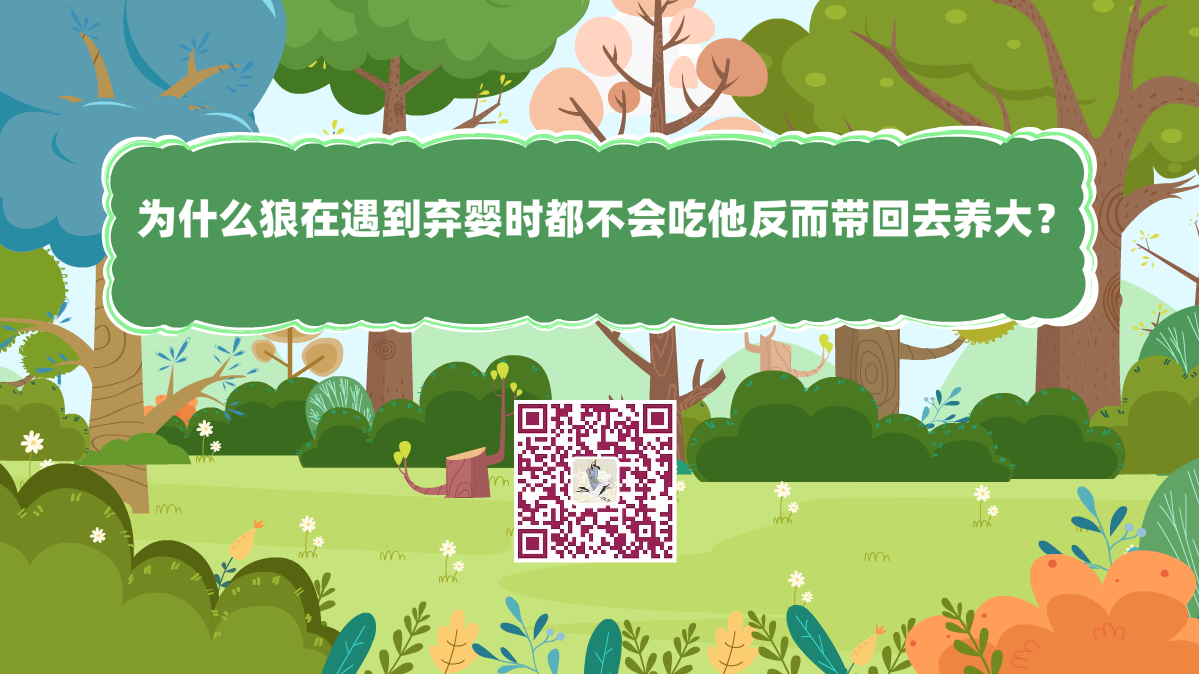 十萬(wàn)個(gè)為什么標(biāo)題（為什么狼在遇到棄嬰時(shí)，都不會(huì)吃他反而帶回去養(yǎng)大？）1200.png