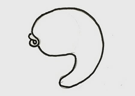可愛的小魚簡(jiǎn)筆畫怎么畫簡(jiǎn)單又好看