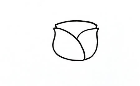 玫瑰花怎么畫(huà)簡(jiǎn)筆畫(huà)又漂亮