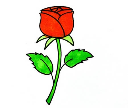 玫瑰花怎么畫(huà)簡(jiǎn)筆畫(huà)又漂亮