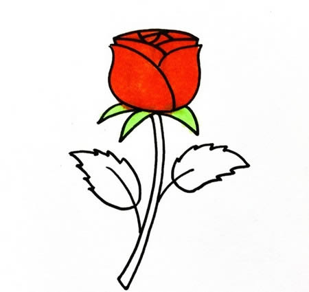 玫瑰花怎么畫(huà)簡(jiǎn)筆畫(huà)又漂亮