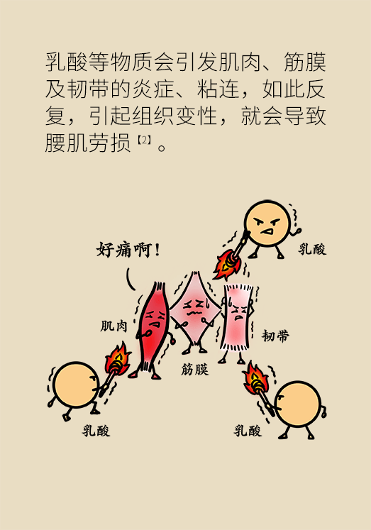 久坐久站致腰肌勞損？六招教你戰(zhàn)勝腰痛