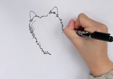 蝴蝶犬怎么畫(huà) 蝴蝶犬簡(jiǎn)筆畫(huà)步驟圖解教程