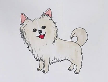 蝴蝶犬怎么畫(huà) 蝴蝶犬簡(jiǎn)筆畫(huà)步驟圖解教程
