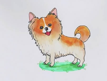 蝴蝶犬怎么畫(huà) 蝴蝶犬簡(jiǎn)筆畫(huà)步驟圖解教程